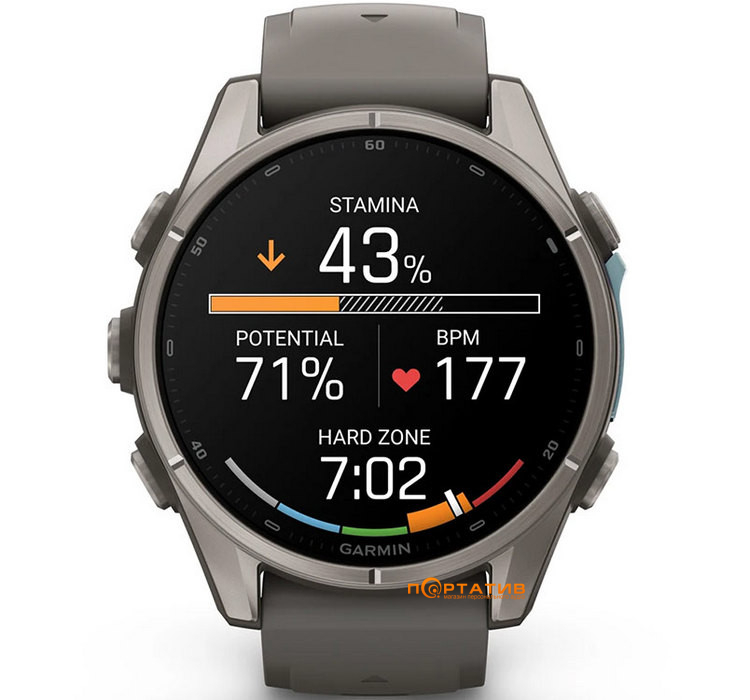 Смарт-годинник Garmin Fenix 9 – 43mm, Titanium with Pebble Grey Silicone Band (010-04761-11)