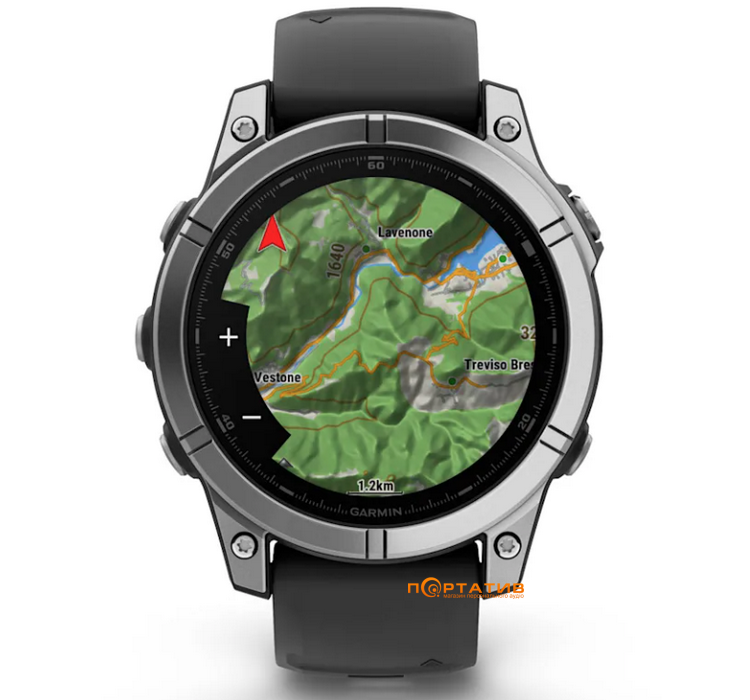 Смарт-часы Garmin Fenix E 47mm Stainless steel with Black silicone band (010-03025-00)