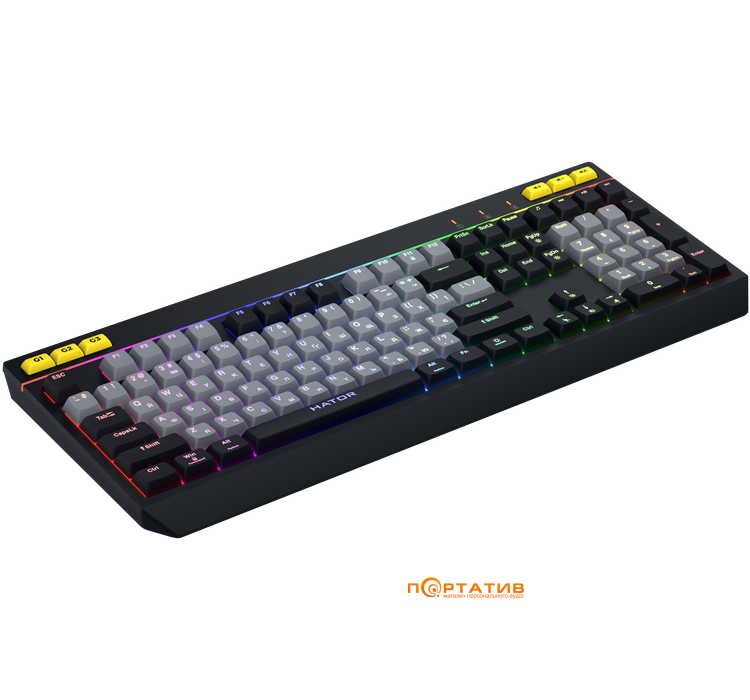Игровая клавиатура HATOR Icefall Black/Grey (HTK401UA)