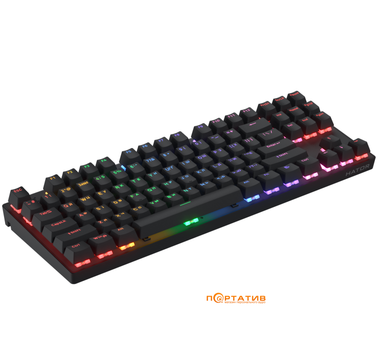 Игровая клавиатура HATOR Icefall Mecha TKL Wireless Rainbow Black U (HTK287UA)