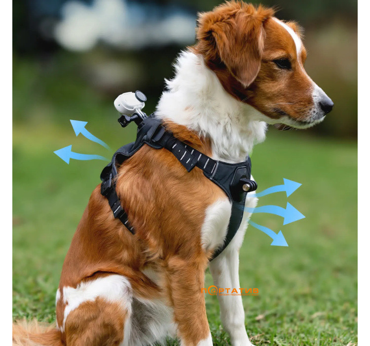 Крепление для животных Insta360 Pet Harness Mount Size M (CINSBAVW)