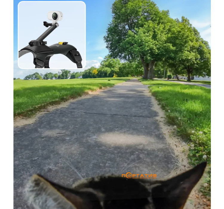 Крепление для животных Insta360 Pet Harness Mount Size M (CINSBAVW)