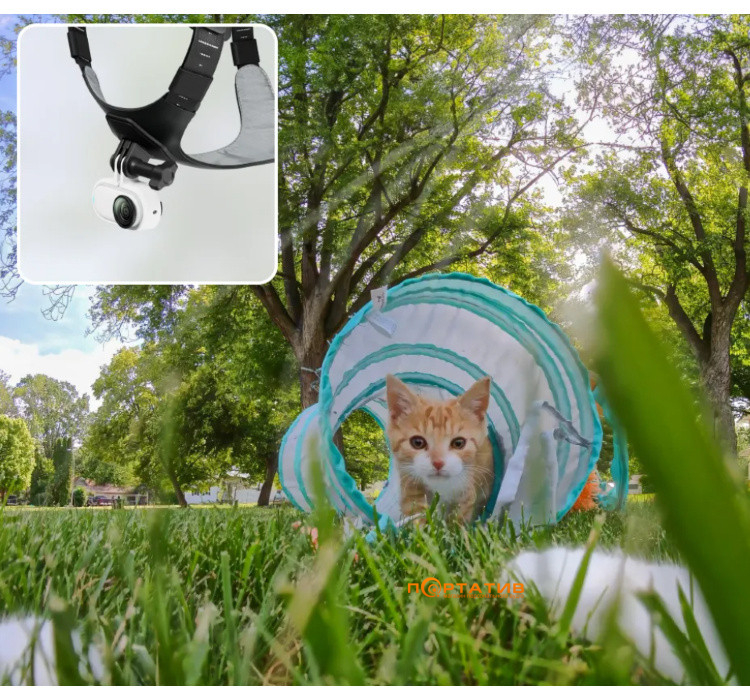 Крепление для животных Insta360 Pet Harness Mount Size M (CINSBAVW)