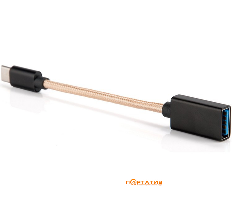 Кабель iFi Type-C OTG Cable