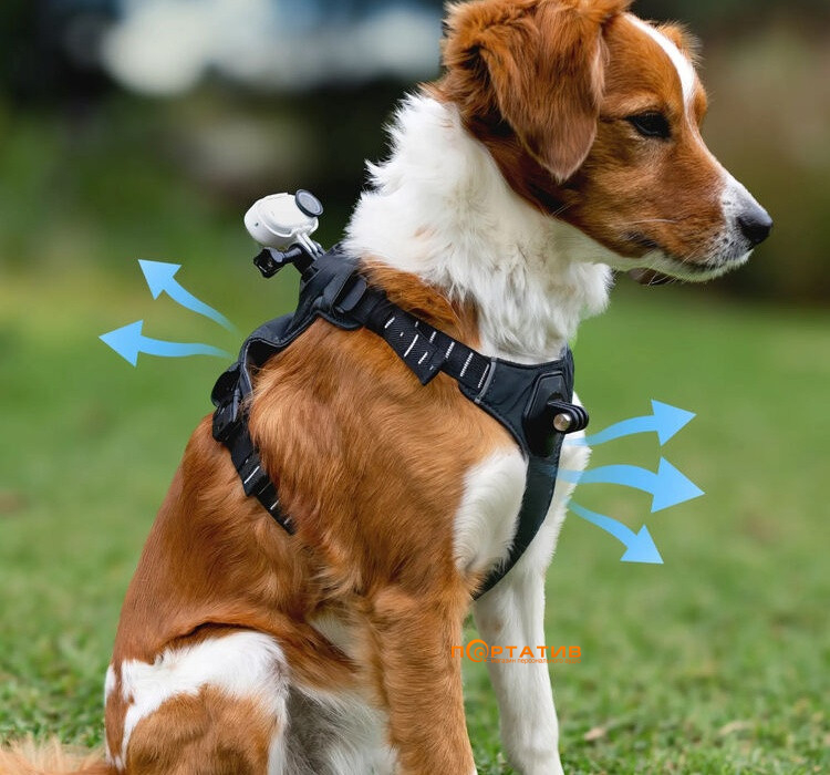 Крепление для животных Insta360 Pet Harness Mount Size S (CINSBAVX)