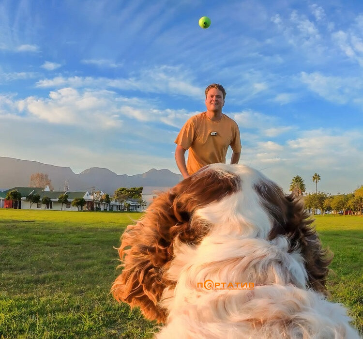 Крепление для животных Insta360 Pet Harness Mount Size S (CINSBAVX)