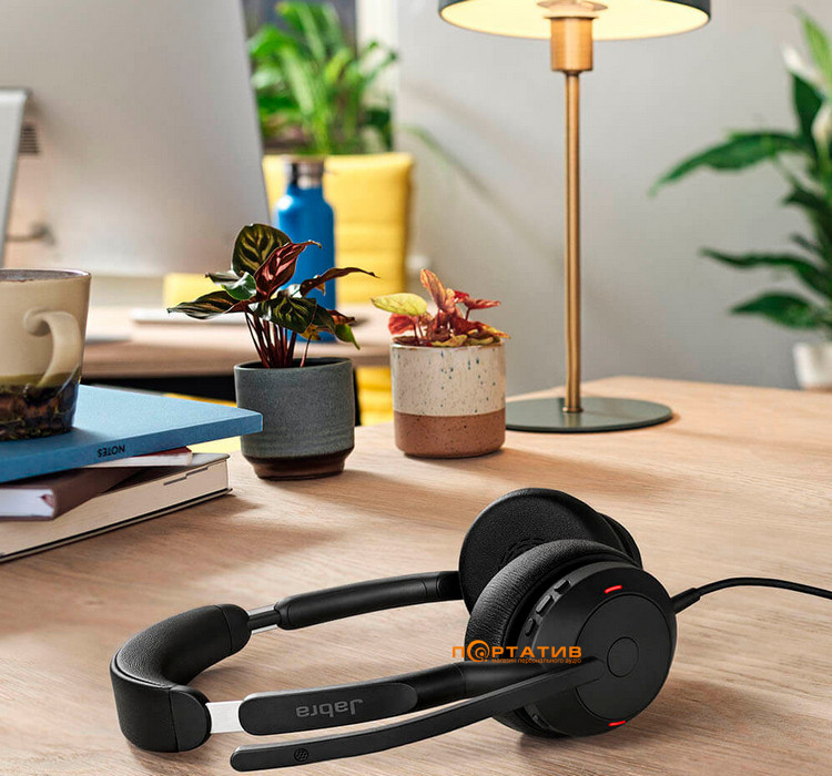 Гарнитура Jabra Evolve 2 50 USB-C MS Stereo (25089-999-899)