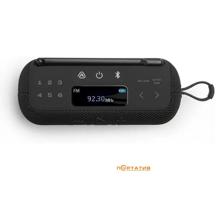 Акустика JBL Tuner 3 Black (JBLTUNER3BLK)