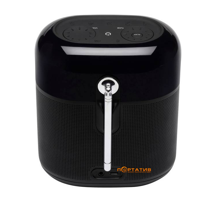 Акустика JBL Tuner XL Black (JBLTUNERXLBLKEUNA)