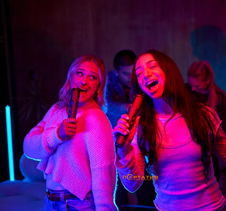 Мікрофони JBL EasySing Mics (JBLEASYSINGMICS)