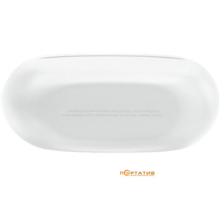 Наушники JBL Endurance Race 2 White (JBLENDURACE2WHT)