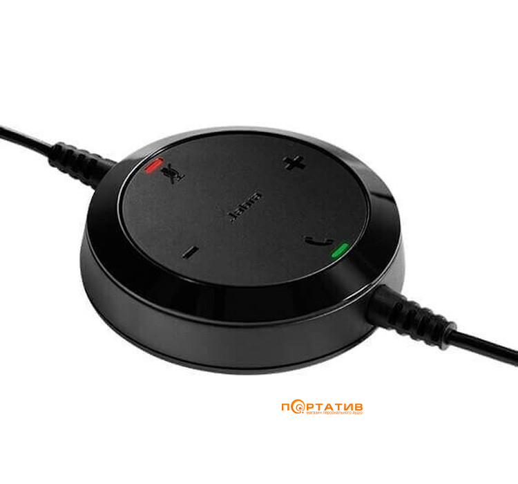 Гарнітура Jabra Evolve 20 MS Mono USB-C/A Leather (4993-823-169 L)