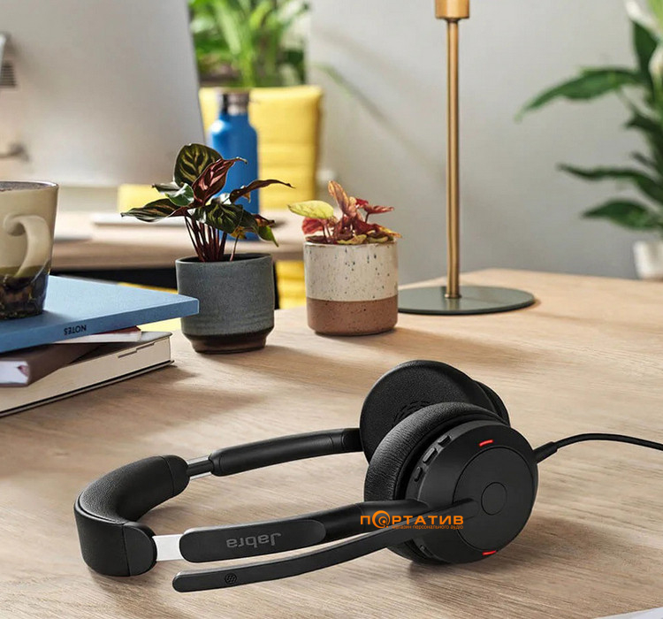 Гарнитура Jabra Evolve 2 50 USB C/A MS Stereo (25089-999-799)
