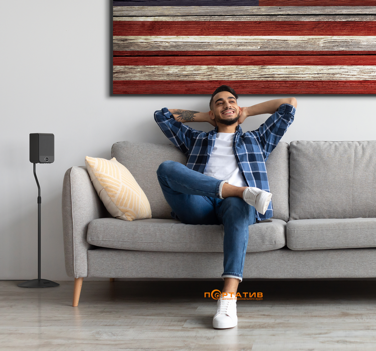 Акустика Klipsch Flexus SUR 100