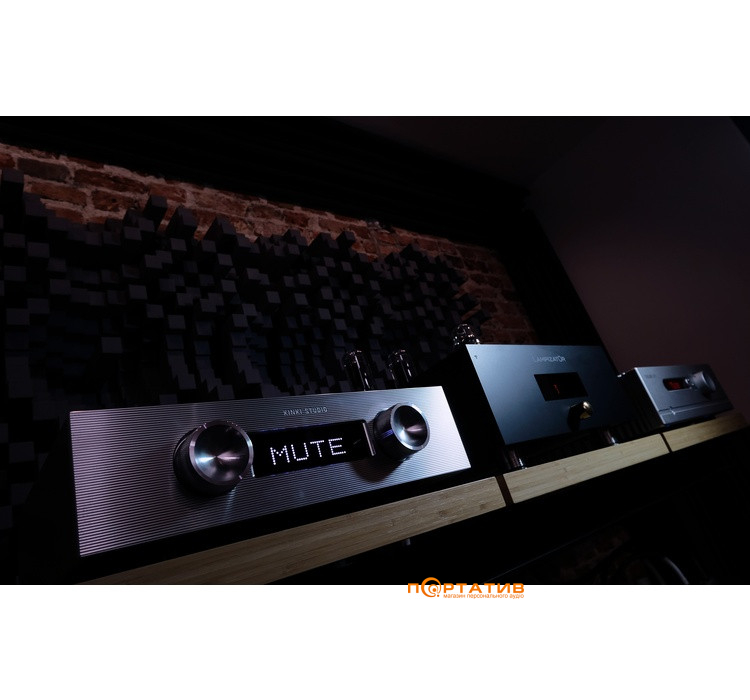 Підсилювач Kinki Studio EX-M1 Black