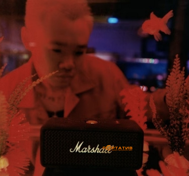 Акустика Marshall Portable Speaker Emberton III Vintage Black (1009767)