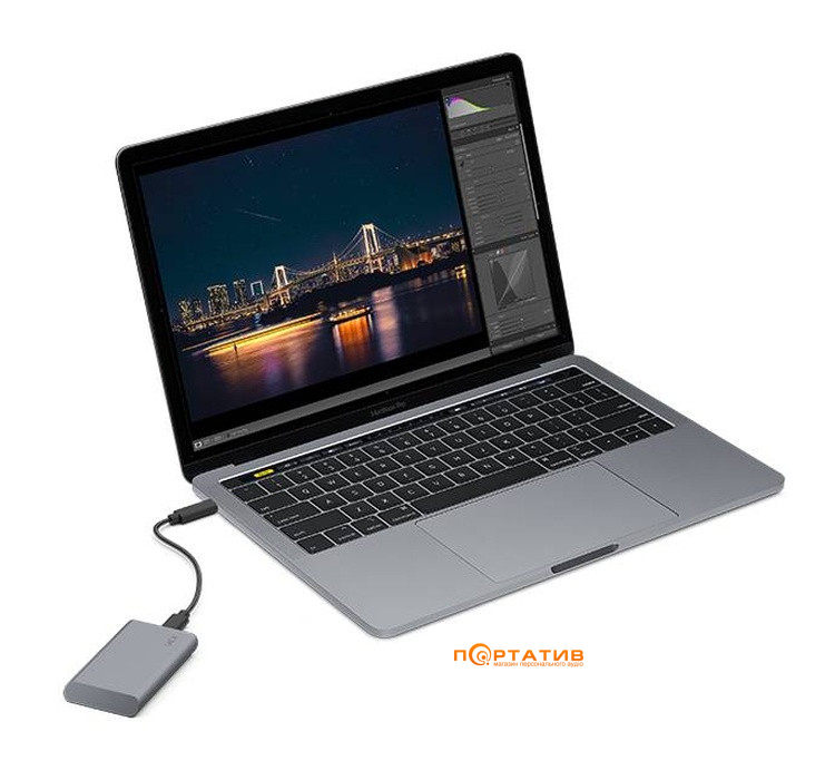 SSD накопичувач LaCie Mobile Secure SSD 1TB (STKH1000800)