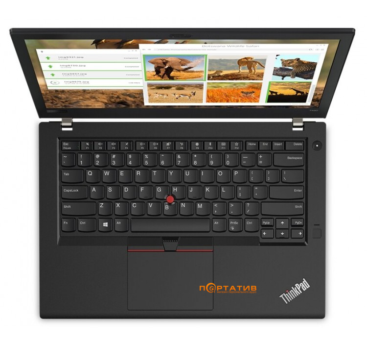 Ноутбук Lenovo ThinkPad T480 (20L50002RT)