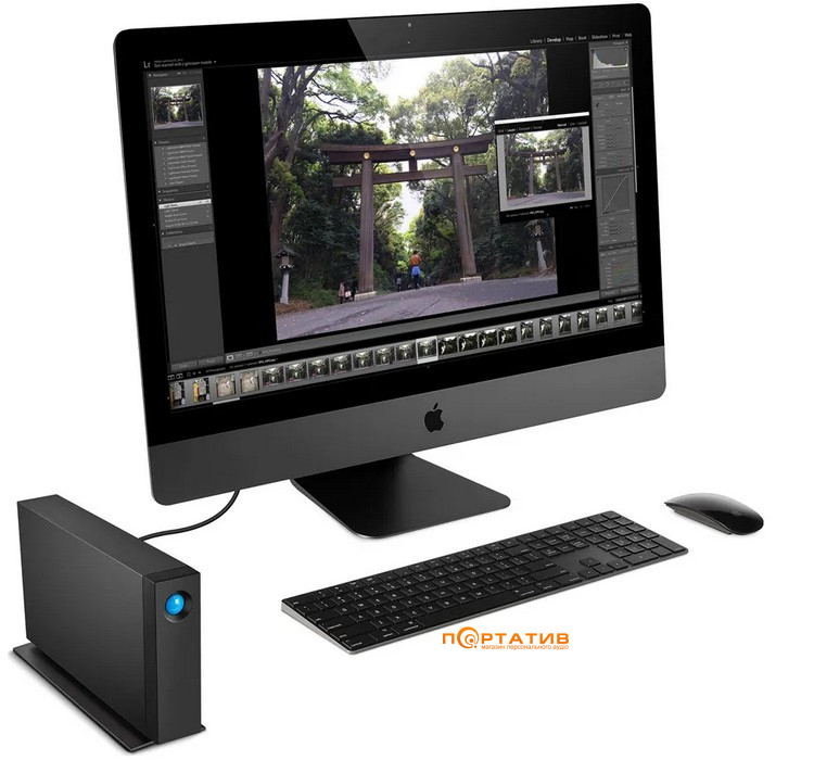 HDD накопичувач LaCie d2 Professional 24TB (STHA24000800)