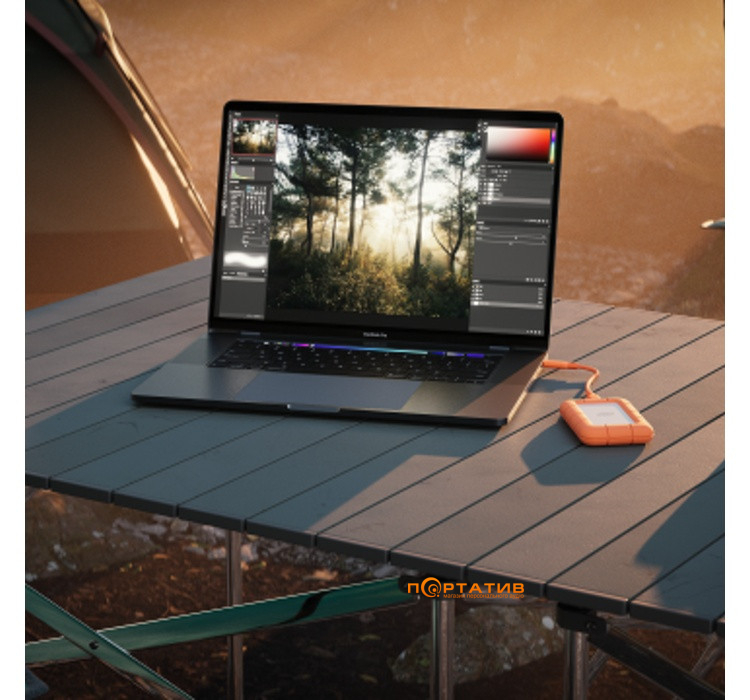SSD накопитель LaCie Rugged Mini SSD 4TB (STMF4000400)