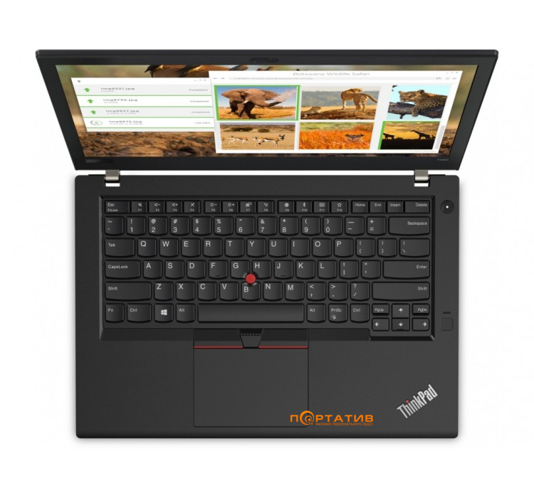 Ноутбук Lenovo ThinkPad T480 Black (20L6SD2B00)