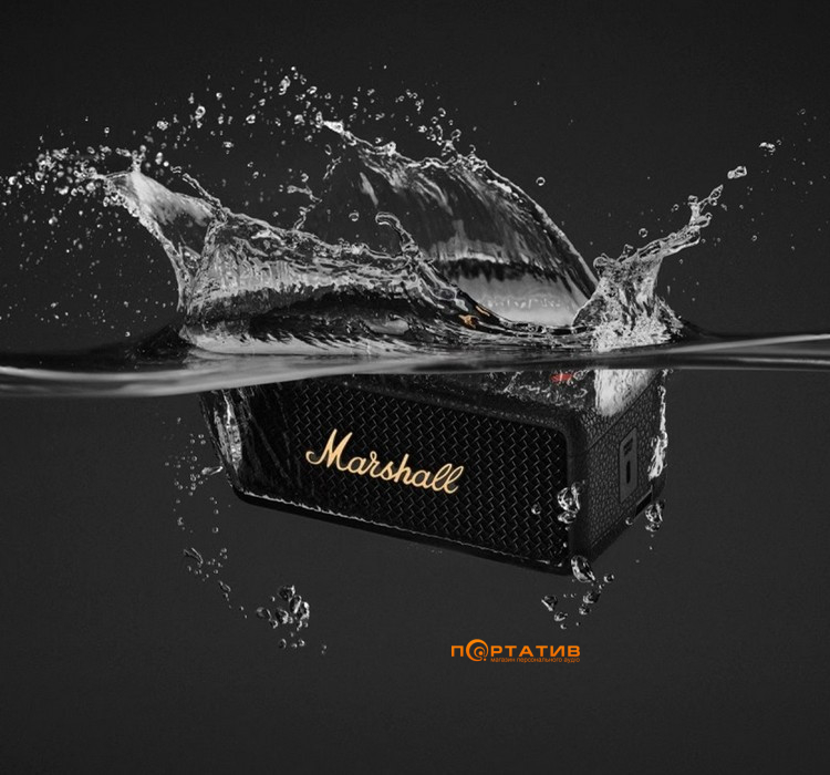 Акустика Marshall Portable Speaker Emberton III Black and Brass (1006884)