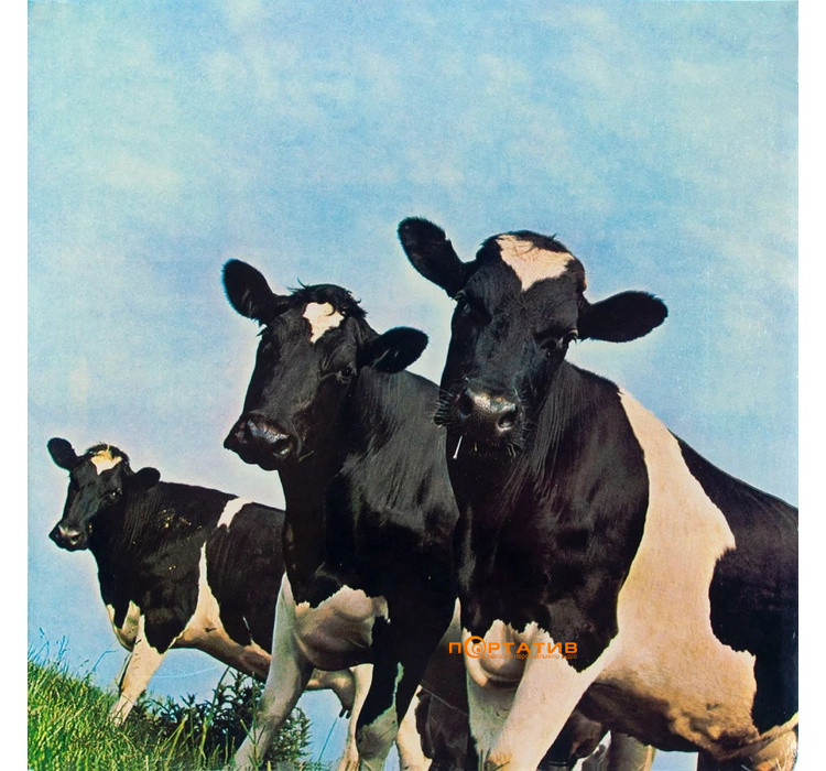 Виниловая пластинка Pink Floyd - Atom Heart Mother [LP]