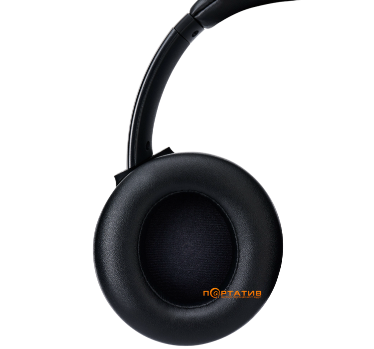 Навушники Panasonic RB-M600BG-K