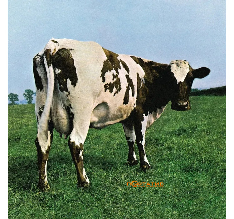 Виниловая пластинка Pink Floyd - Atom Heart Mother [LP]