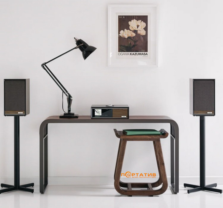 Акустическая система Ruark Sabre-R Bookshelf Speakers Satin Charcoal