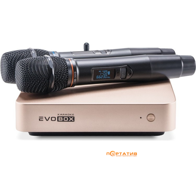 Караоке-система Studio Evolution EVOBOX Plus Gold