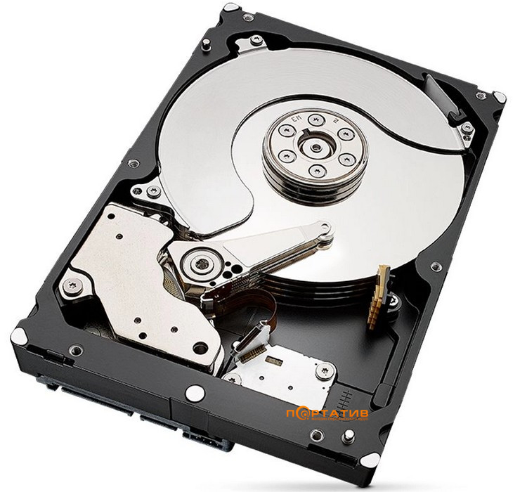 Жорсткий диск Seagate SkyHawk 6TB (ST6000VX009)