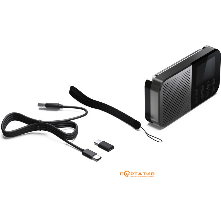 Портативное цифровое радио Sharp DR-P520(GY)