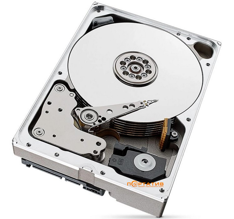 Жесткий диск Seagate SkyHawk AI 10TB (ST10000VE001)