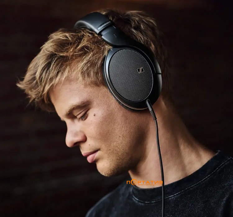Наушники Sennheiser HD 550 (700455)