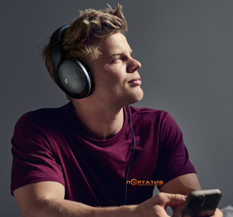 Наушники Sennheiser HD 550 (700455)