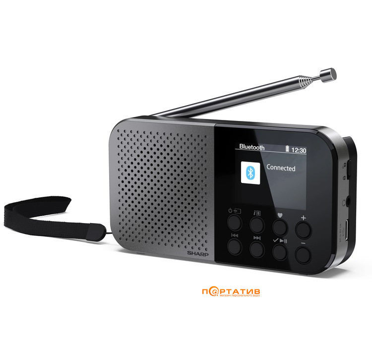 Портативное цифровое радио Sharp DR-P520(GY)