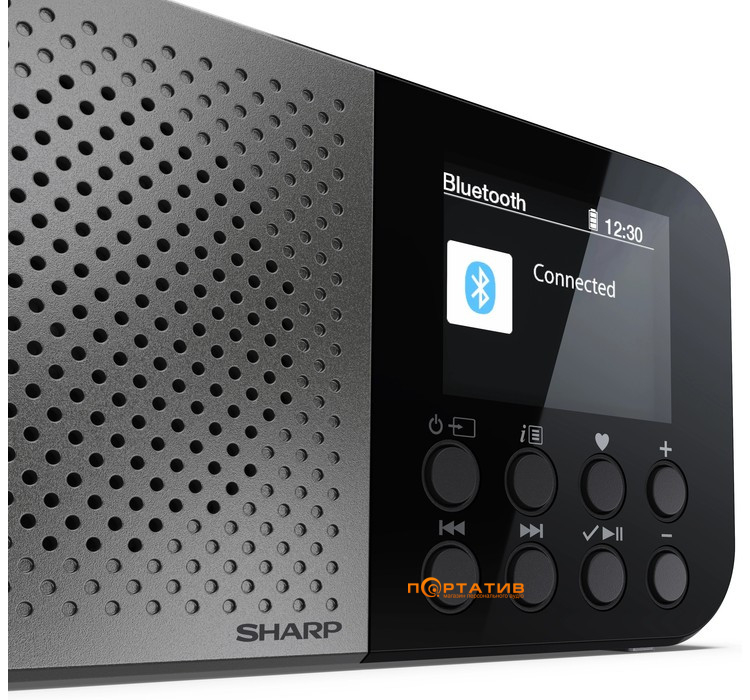 Портативное цифровое радио Sharp DR-P520(GY)