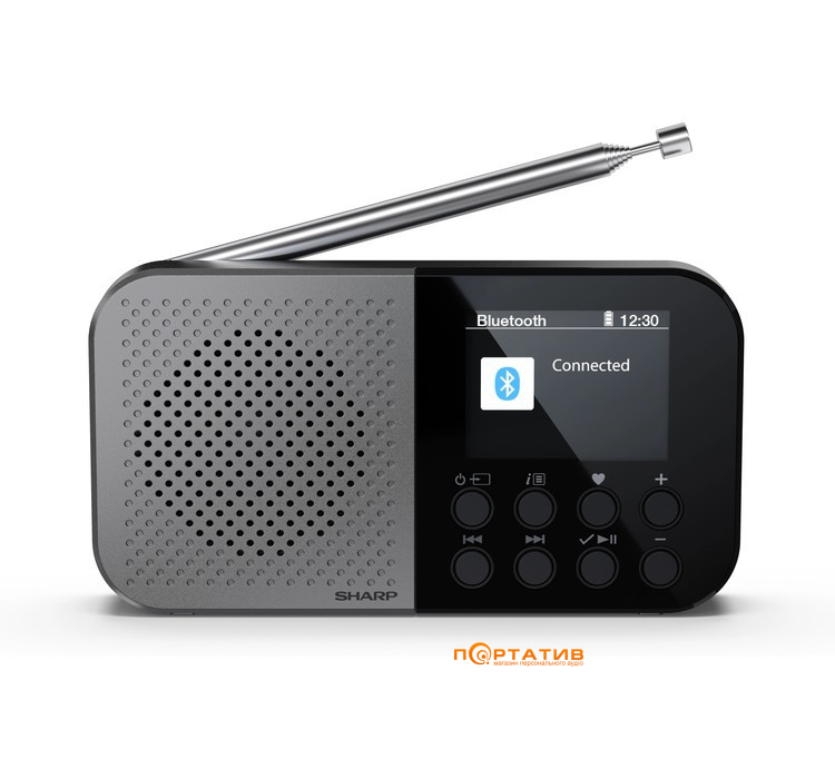 Портативное цифровое радио Sharp DR-P520(GY)