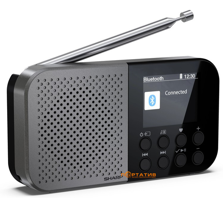 Портативное цифровое радио Sharp DR-P520(GY)