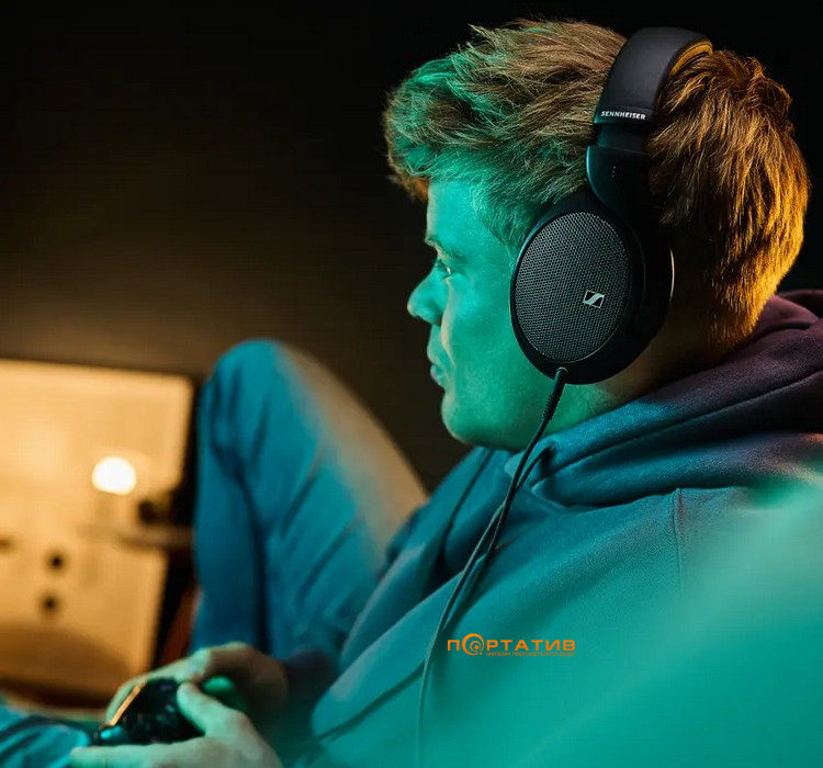 Наушники Sennheiser HD 550 (700455)
