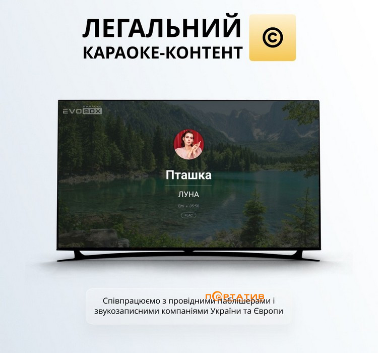 Караоке-система Studio Evolution EVOBOX Black
