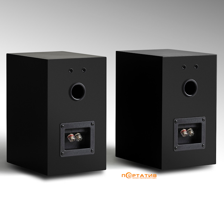 Акустика Tone Factory Speaker S Matte Black