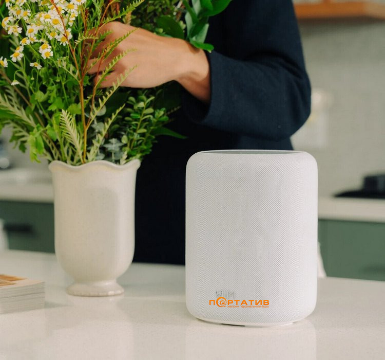 Акустическая система WiiM Sound Lite White