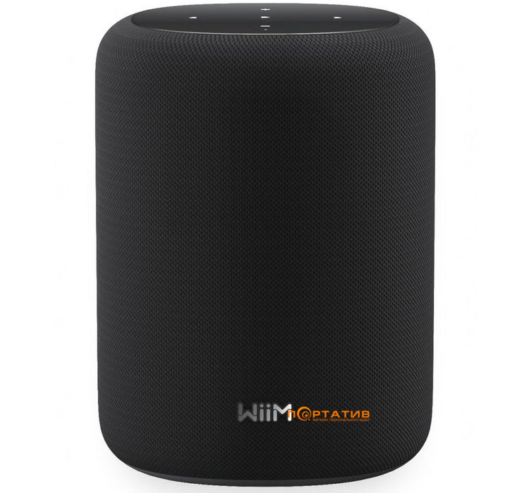 Акустическая система WiiM Sound Lite Black