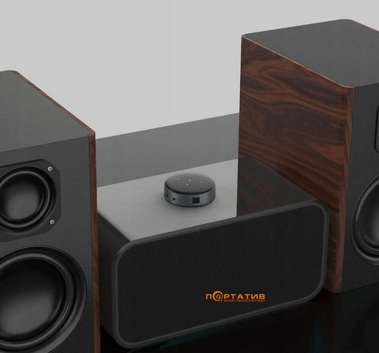 Сетевой плеер WiiM Mini