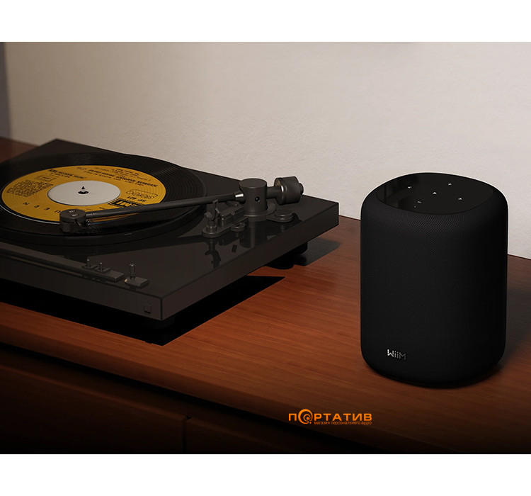Акустична система WiiM Sound Lite Black