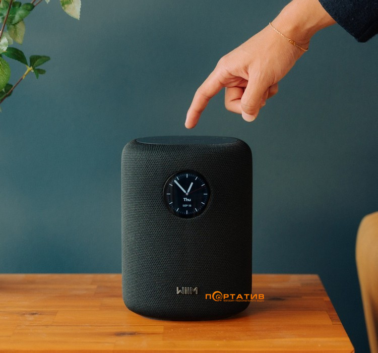 Акустична система WiiM Sound Black
