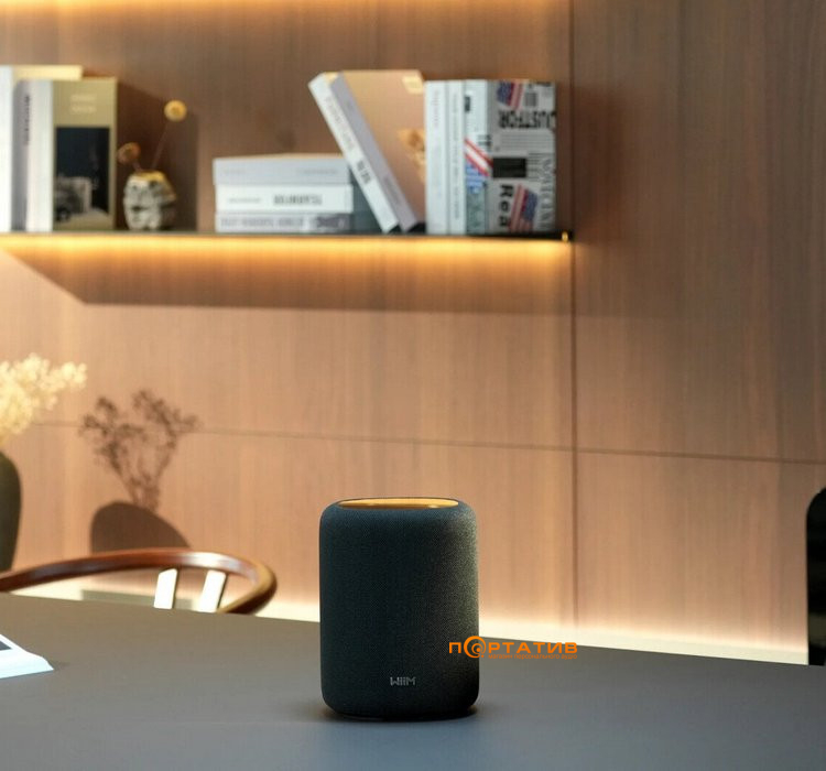 Акустическая система WiiM Sound Lite Black