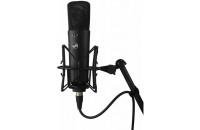 Микрофоны и микрофонные радиосистемы Warm Audio WA-87 R2B